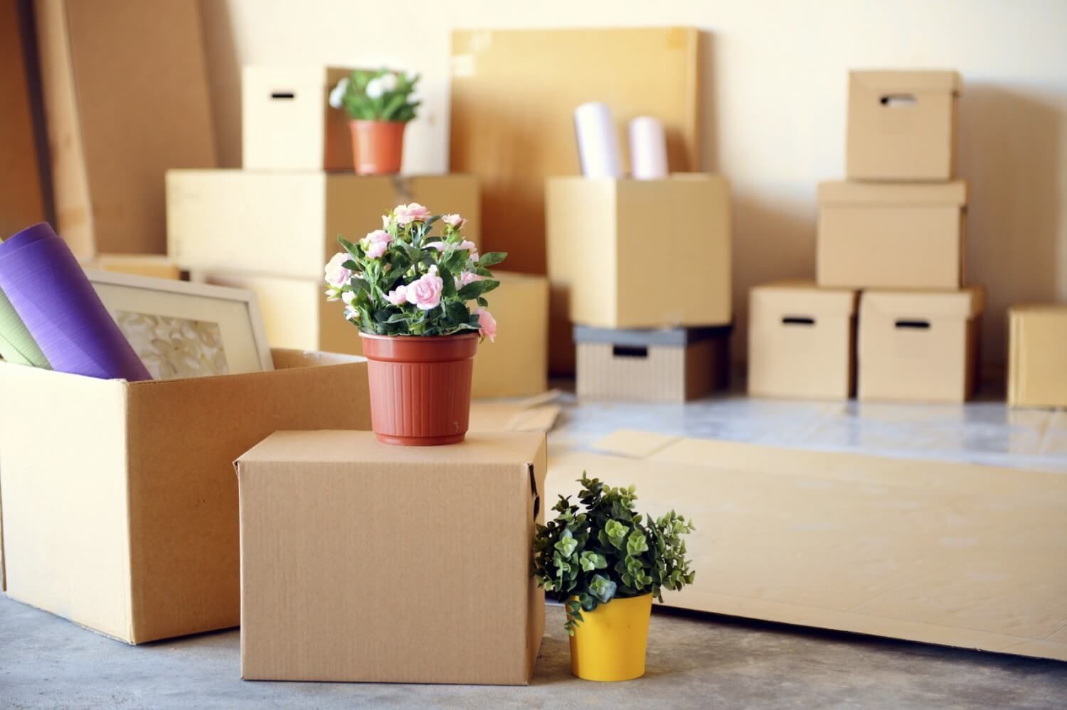 Household Relocation Services