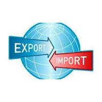 Import Licensing Services