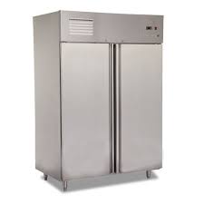 Industrial Deep Freezer