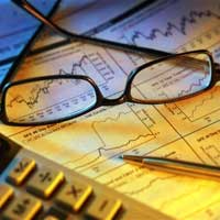 International Business Consultancy