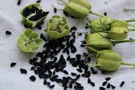 Kalonji Seeds