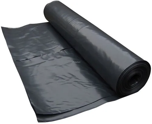 LDPE Sheet