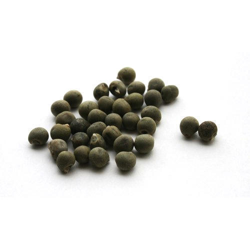 Lady Finger Seeds
