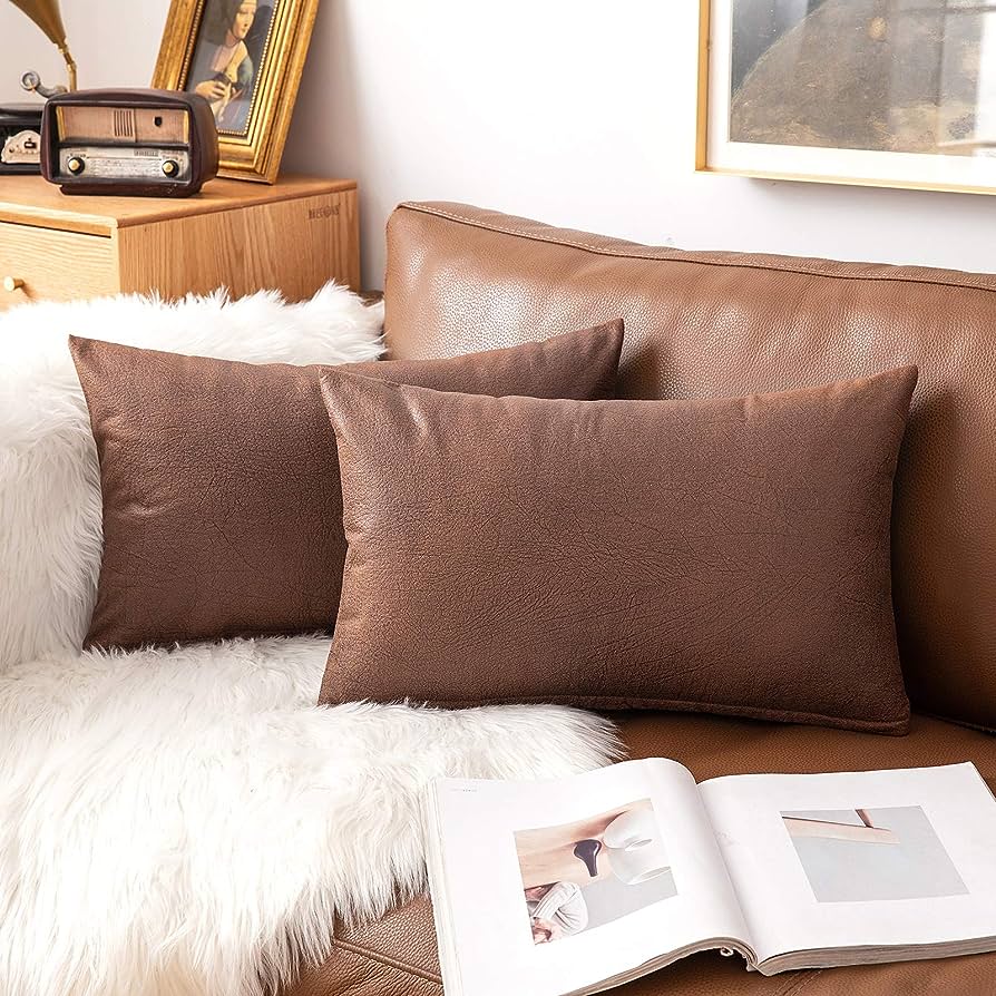 Leather Cushions