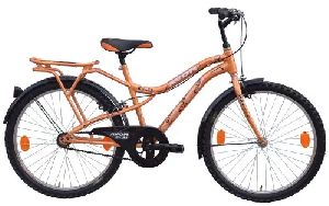 Mens Bicycle