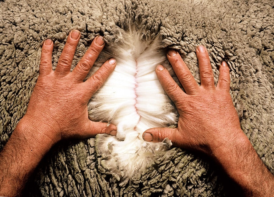 Merino Wool