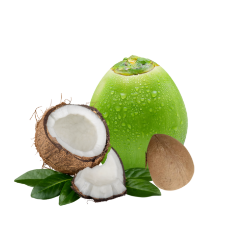 Organic Coconut