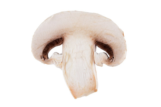 Mushroom Slice