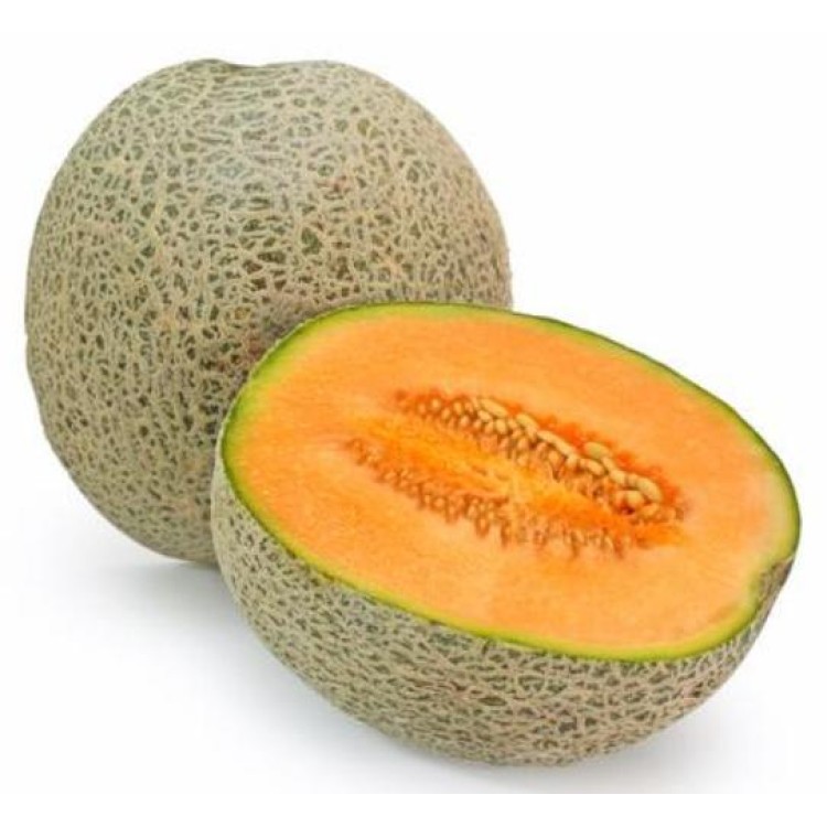 Muskmelon