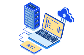 Networking Training Service