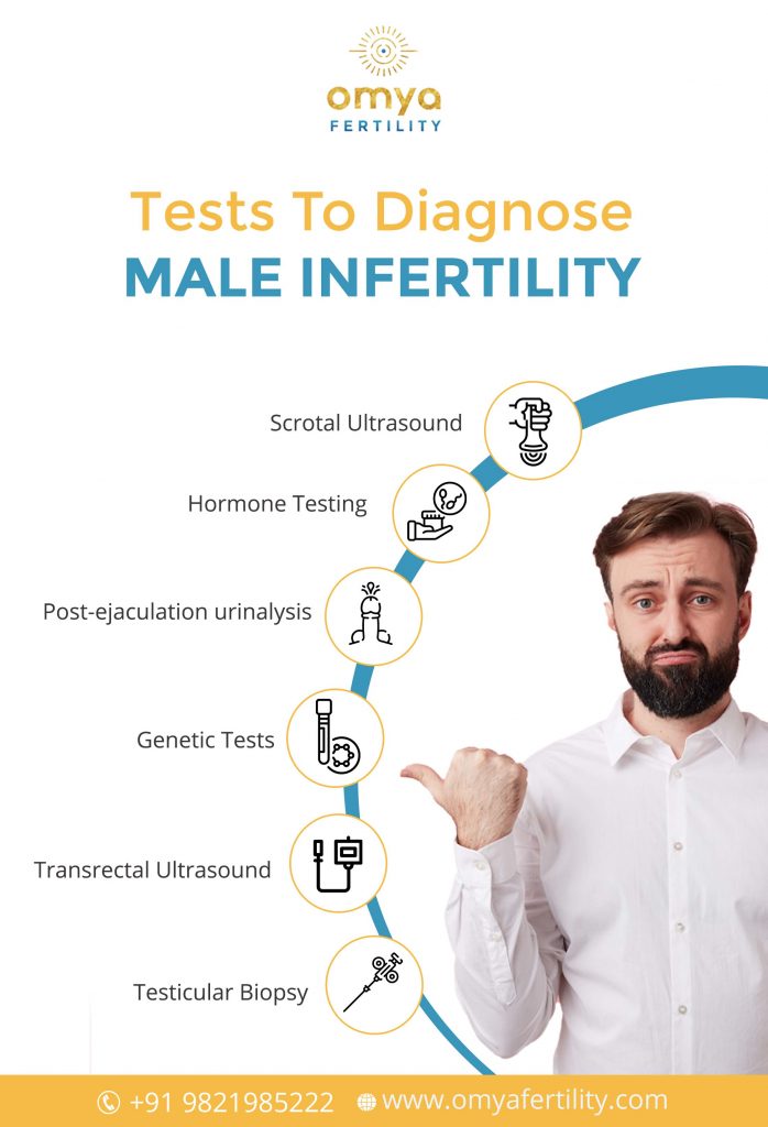 Male Infertility Treatment