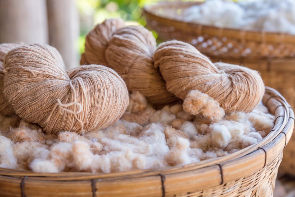 Organic Fabrics