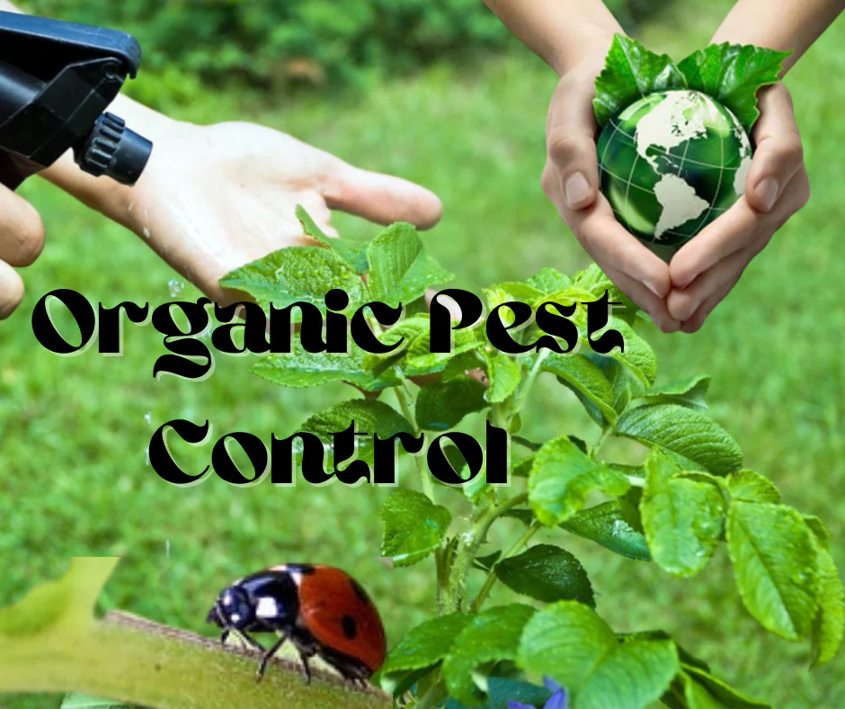 Organic Pest Control