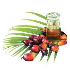 Palm Kernel Oil