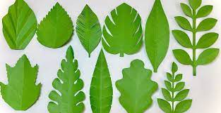 Paper Leaf