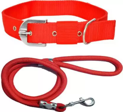 Pet Collars