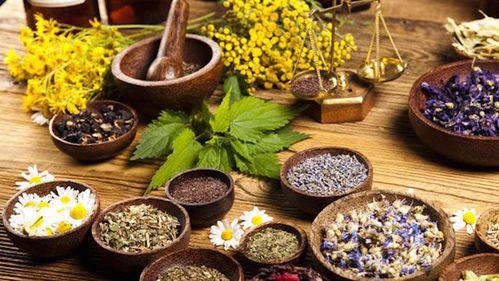 Plant Extracts