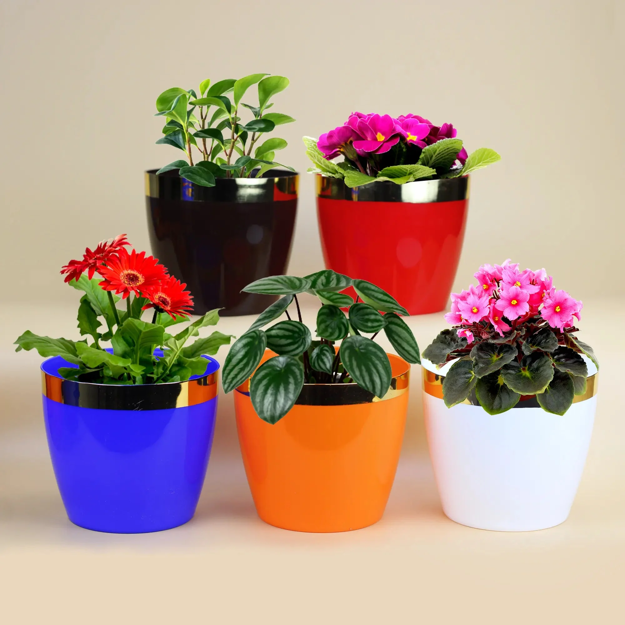 Flower Pots