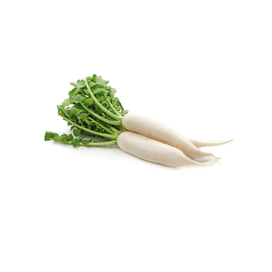 Organic Radish