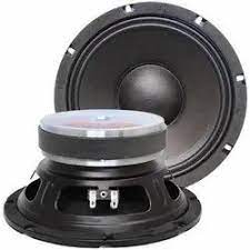 Raw Speakers