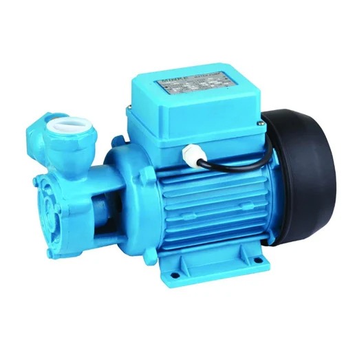 Raw Water Pump