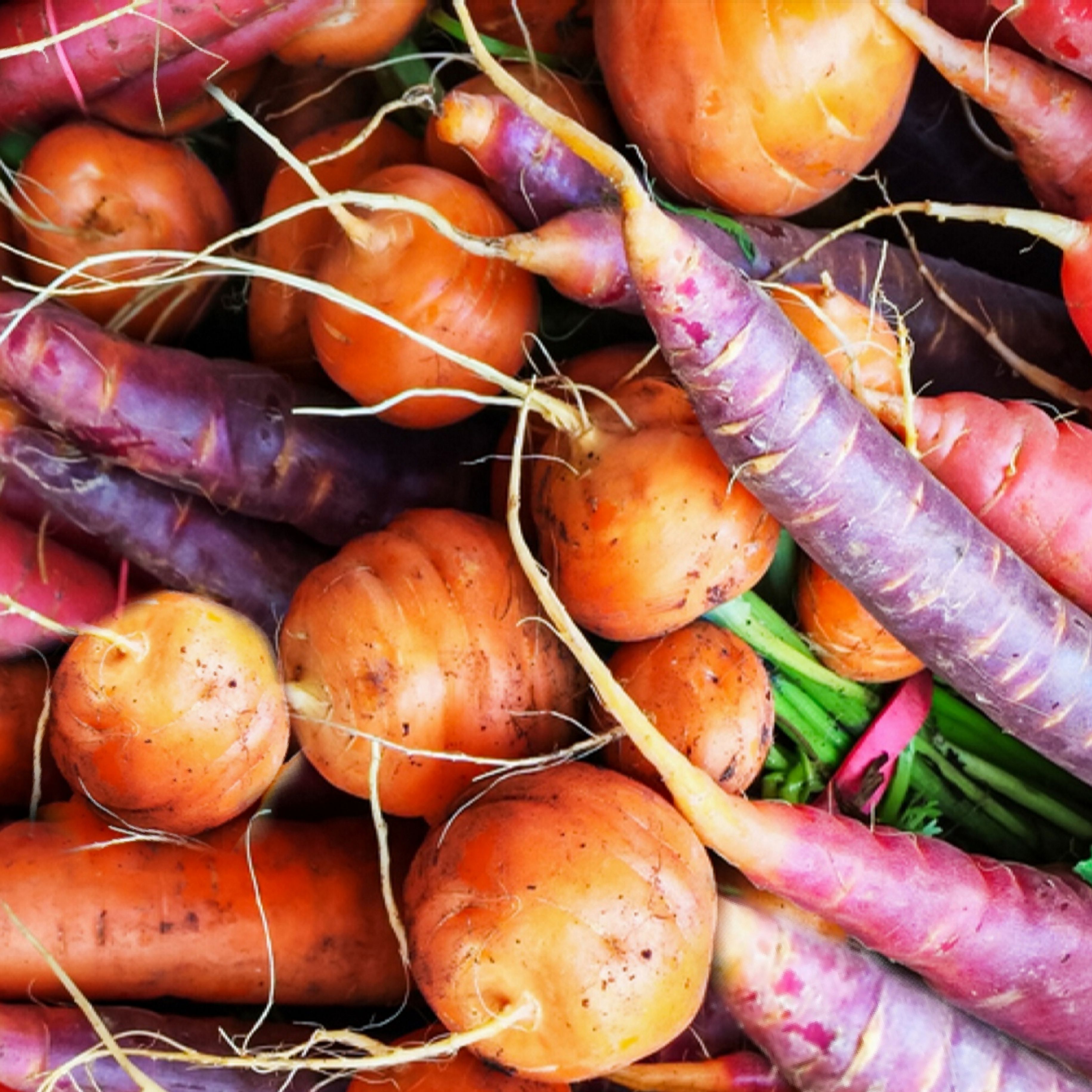 Root Vegetables