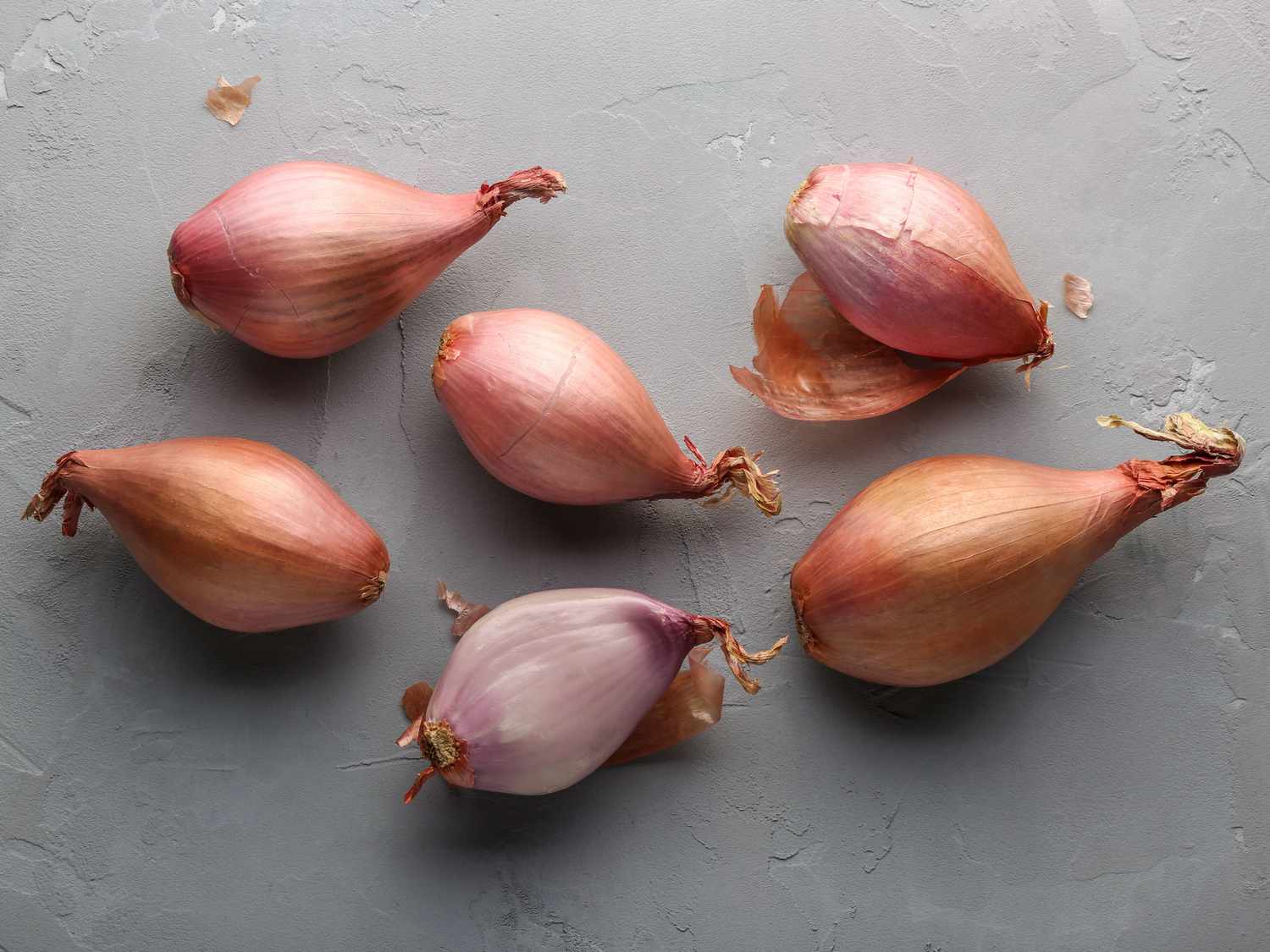 Shallot Onions