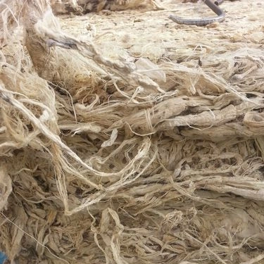 Silk Waste