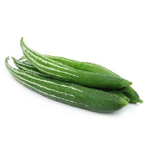 Snake Gourd