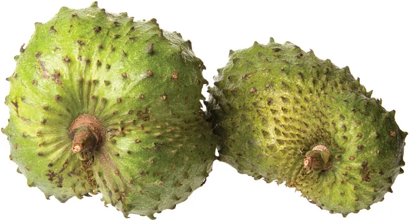 Soursop