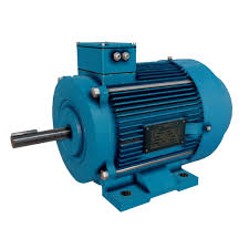 Squirrel Cage Motors