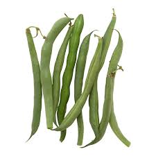 String Bean