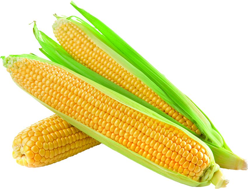 Sweet Corns