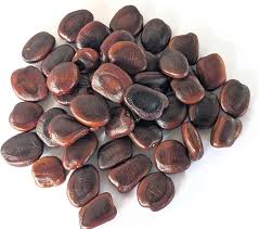 Tamarind Seed