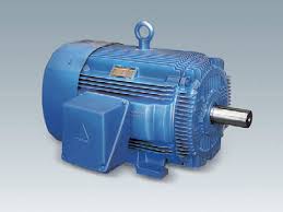 Tefc Induction Motor