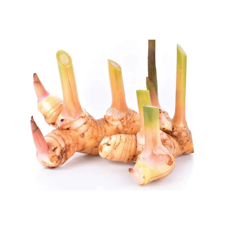 Thai Ginger