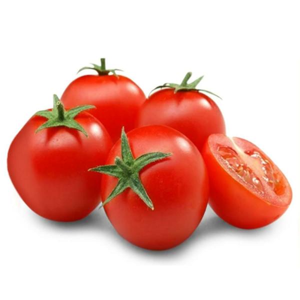Tomato