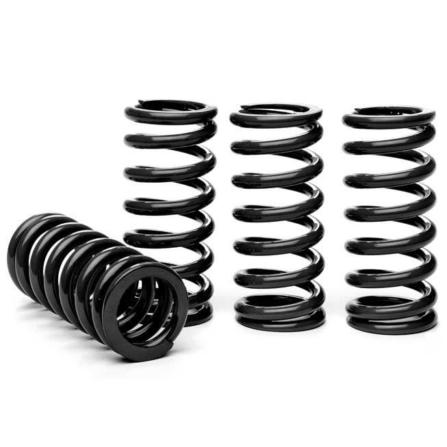 Truck Springs