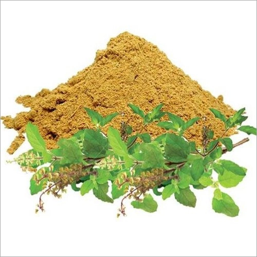 Tulsi Extract