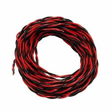 Twin Twisted Wire