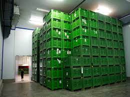Vegetable Cold Storage
