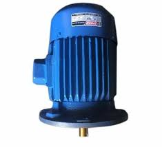 Vertical AC Motor