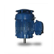 Vertical Motor