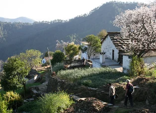 Village Tour Packages