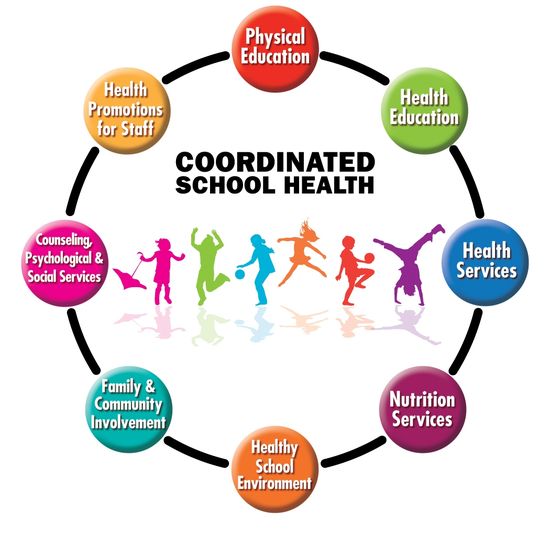 Wellness Program Services