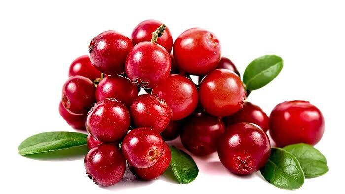 Fresh Cranberries