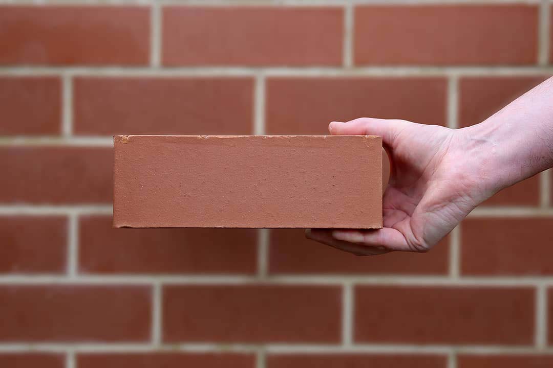 Wire Cut Bricks