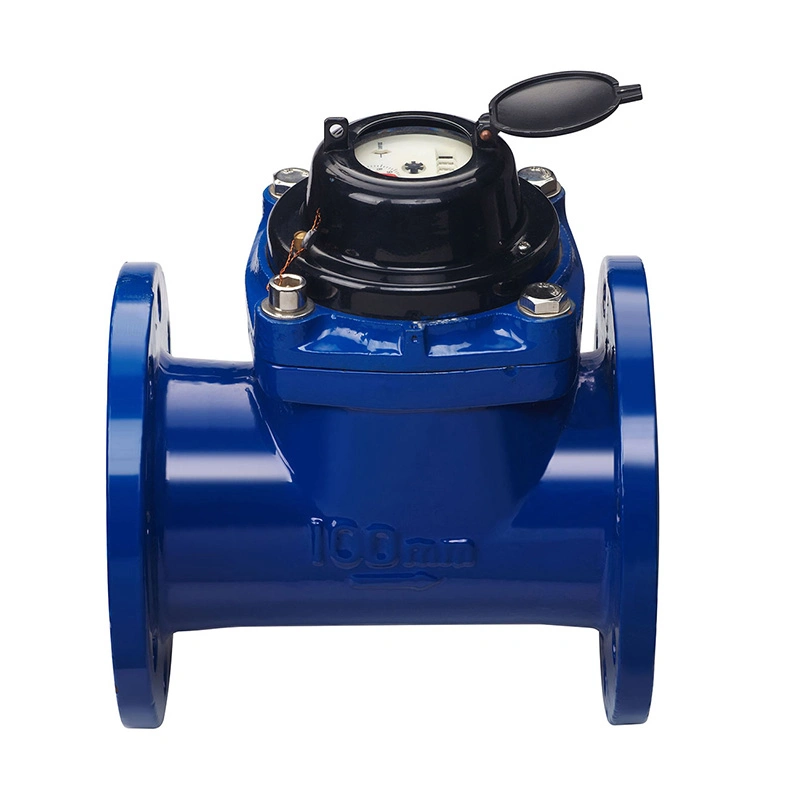 Woltman Water Meter