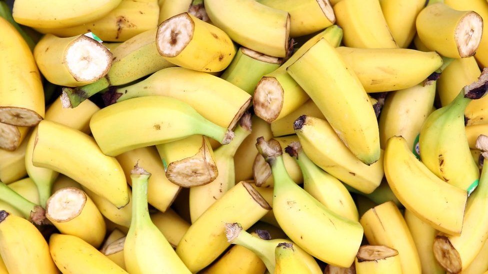 Cavendish Bananas