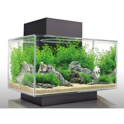 Aquarium Tank